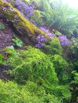 pic_13149.jpg