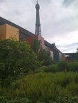 pic_13176.jpg