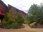 pic_13181.jpg