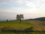 pic_04789.jpg
