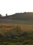 pic_04790.jpg