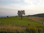 pic_04791.jpg