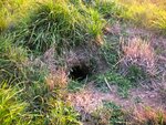 pic_04794.jpg