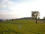 pic_04795.jpg
