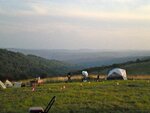 pic_04798.jpg