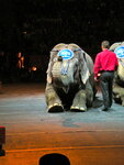 pic_04845.jpg