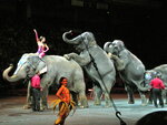 pic_04850.jpg