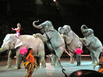 Circus