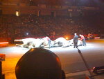 pic_04855.jpg