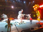pic_04858.jpg