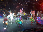 pic_04868.jpg