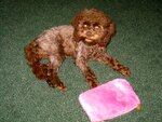 pic_04874.jpg