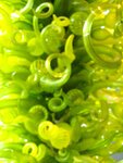 pic_04885.jpg