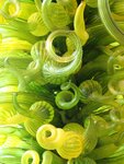 pic_04886.jpg