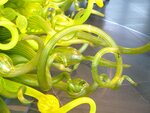 pic_04887.jpg