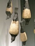 pic_04939.jpg
