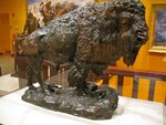 pic_04964.jpg