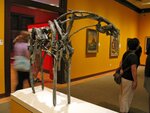 pic_04969.jpg