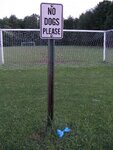 pic_04973.jpg