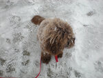 pic_04975.jpg