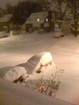 pic_04991.jpg