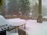 pic_04993.jpg