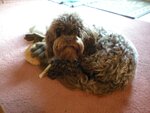 pic_05002.jpg