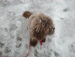 pic_05003.jpg