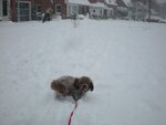 pic_05004.jpg