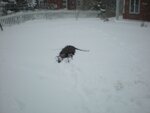 pic_05009.jpg