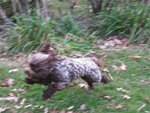 pic_05035.jpg