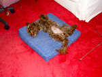pic_05041.jpg