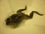 pic_05067.jpg