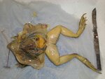 pic_05069.jpg