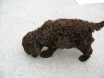 pic_05150.jpg