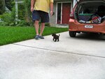 pic_05151.jpg