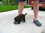 pic_05152.jpg
