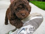 pic_05153.jpg