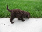 pic_05155.jpg