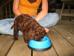pic_05160.jpg