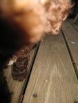 pic_05161.jpg