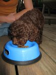 pic_05162.jpg