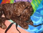 pic_05163.jpg