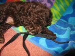 pic_05164.jpg