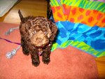 pic_05165.jpg