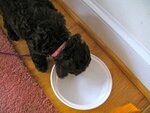 pic_05166.jpg