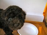 pic_05167.jpg