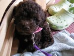 pic_05168.jpg