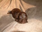 pic_05177.jpg