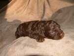 pic_05178.jpg